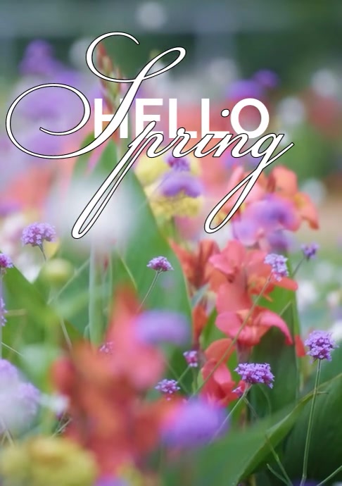 Copy of Hello spring | PosterMyWall