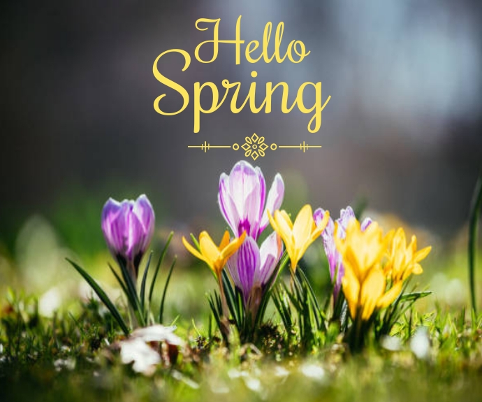 Copy of Hello spring | PosterMyWall