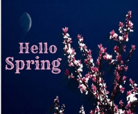 Hello spring Template | PosterMyWall