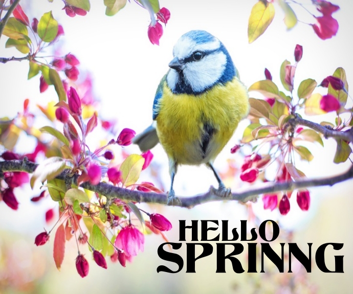 Hello spring Template | PosterMyWall