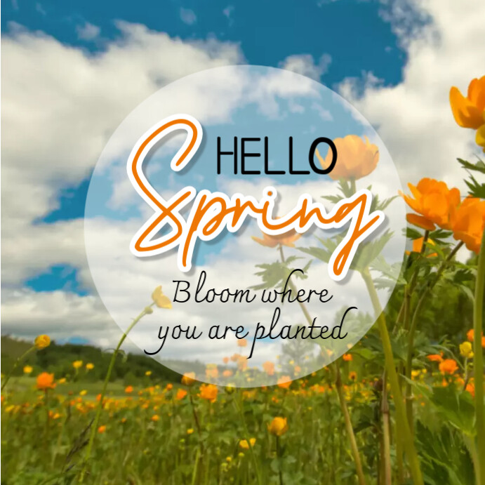Copy of Hello Spring | PosterMyWall