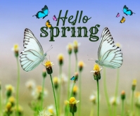 Hello spring Template | PosterMyWall