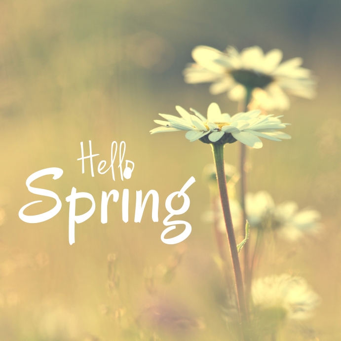 hello spring flyer template | PosterMyWall