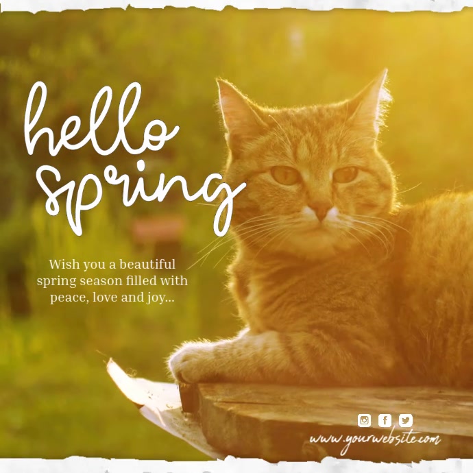 hello spring instagram post Template | PosterMyWall