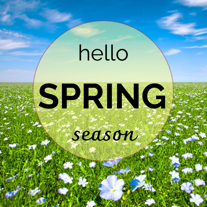 Copy of Hello spring Instagram post | PosterMyWall