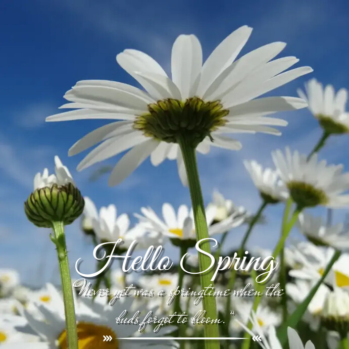 Copy of Hello Spring Instagram Post | PosterMyWall