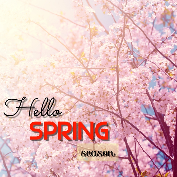 Plantilla de Publicación de Instagram | PosterMyWall