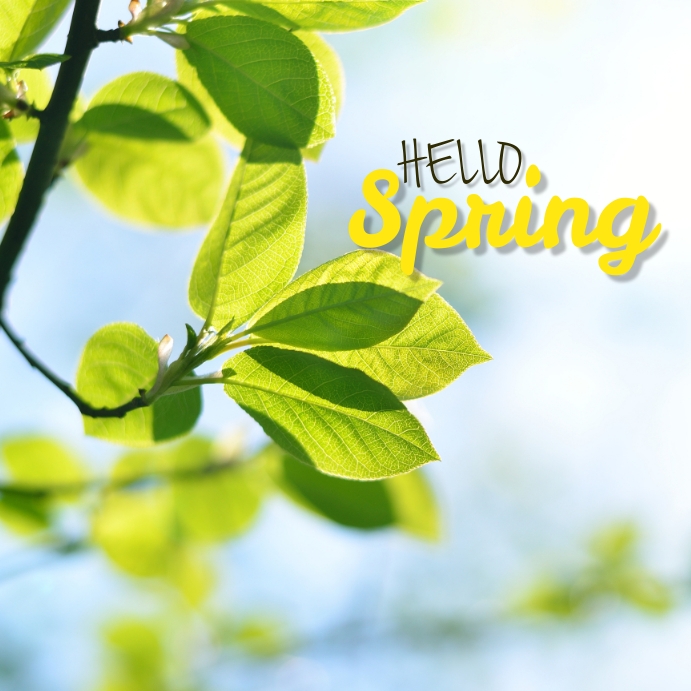 Hello Spring Instagram Post Template | PosterMyWall