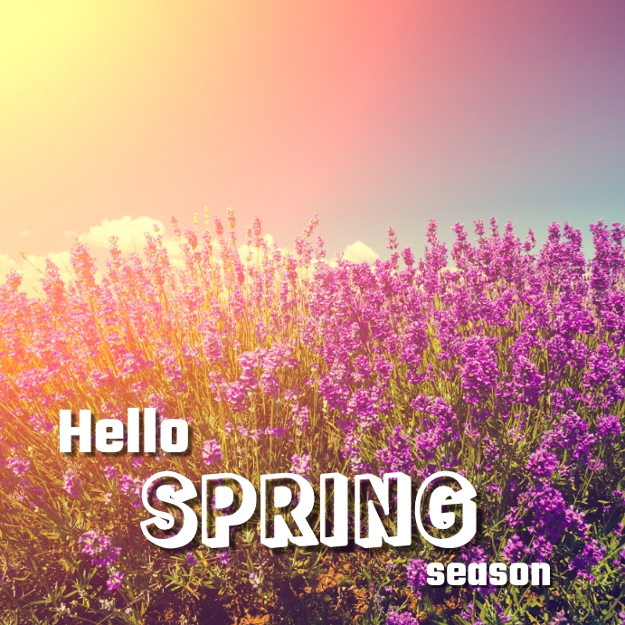 Hello spring Instagram post Template | PosterMyWall