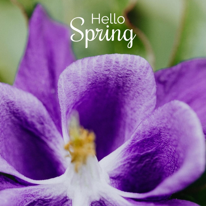 Poster Fhello Spring Hello Spring Poster Template | PosterMyWall