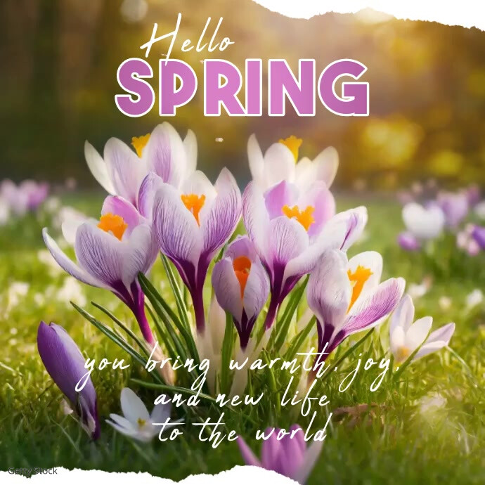Hello Spring Video Ad Social Media Template | PosterMyWall
