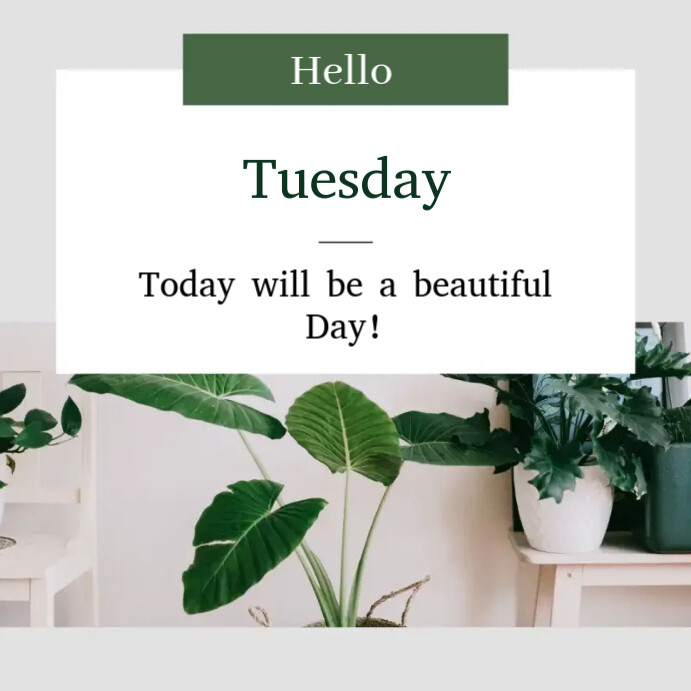 Hello Tuesday Template | PosterMyWall