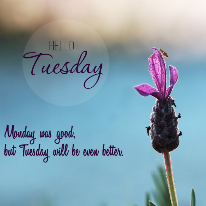 Hello Tuesday flyer template | PosterMyWall