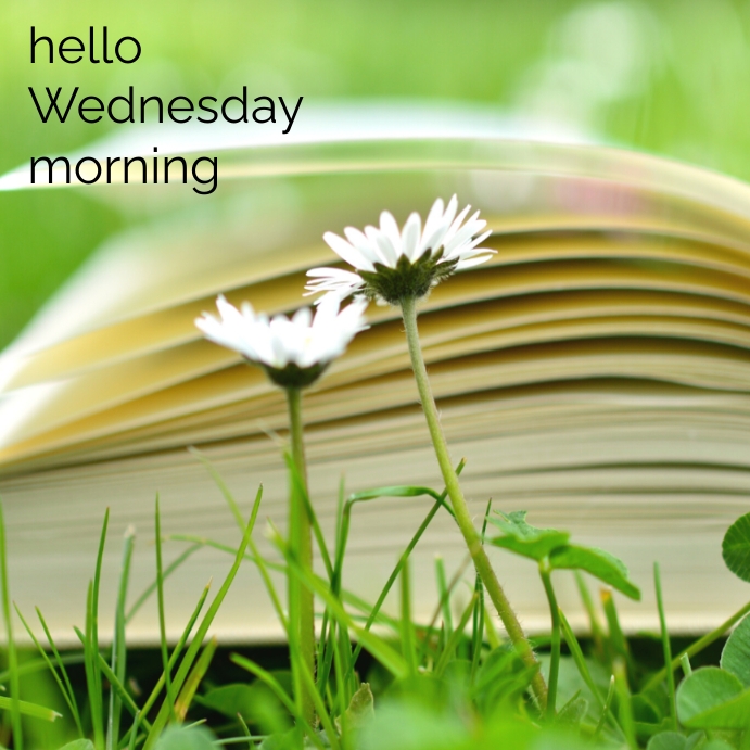 Hello Wednesday Template | PosterMyWall