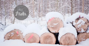 Hello winter flyer template Рекламное объявление Facebook