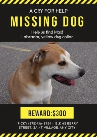 Help Missing Dog A4 template