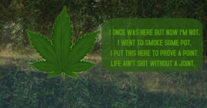 HIGH TO GET GREEN WEED TEMPLATE ภาพที่แชร์บน Facebook