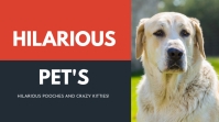 Hilarious Pet Dog Youtube Thumbnail Template | PosterMyWall