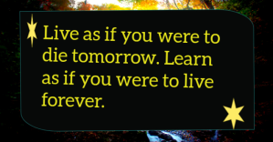 Educational quote Facebook 共享图片 template