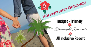 honeymoon/all inclusive/vacation/travel/wed Facebook 共享图片 template