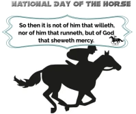 Horse day Großes Rechteck template