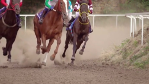 Horse race Foto Sampul Saluran YouTube template