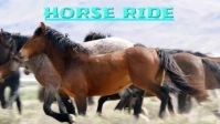 Horse Ride YouTube Thumbnail template