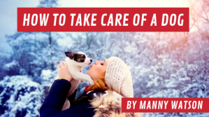 How To Take Care a Dog Youtube Thumbnail YouTube-miniature Template