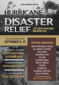 60 Hurricane Relief Customizable Design Templates