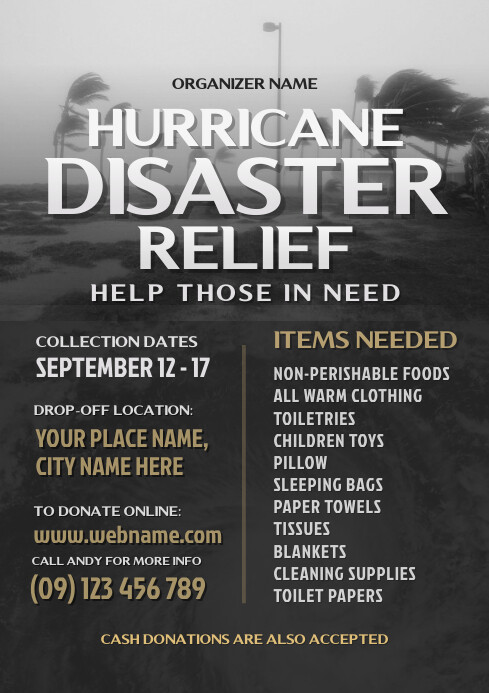Hurricane Disaster Relief Flyer Template | PosterMyWall