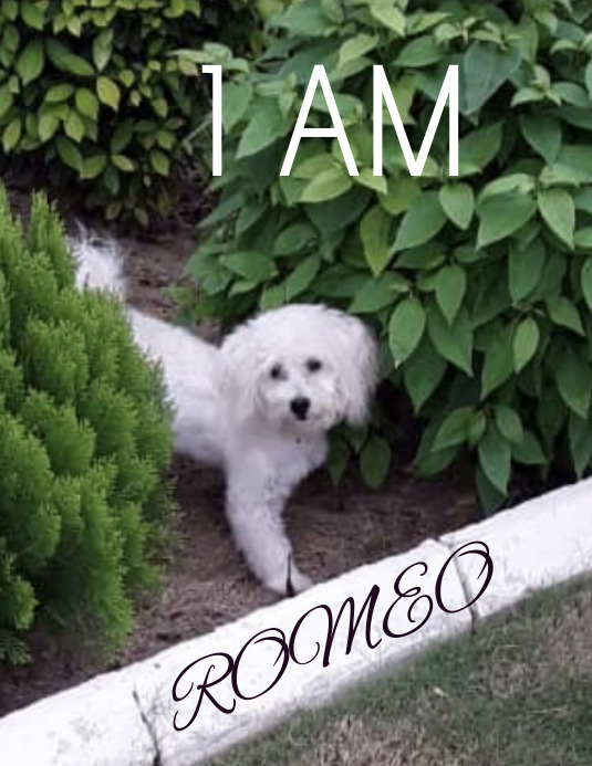 I am Romeo Template | PosterMyWall