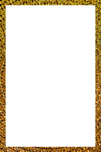 illustration page border | background for posters flyers brochures Plakkaat template