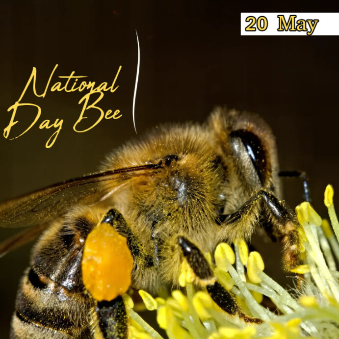 Illustrative Bee Day Instagram Post template
