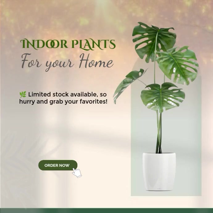 Indoor Plants Template PosterMyWall