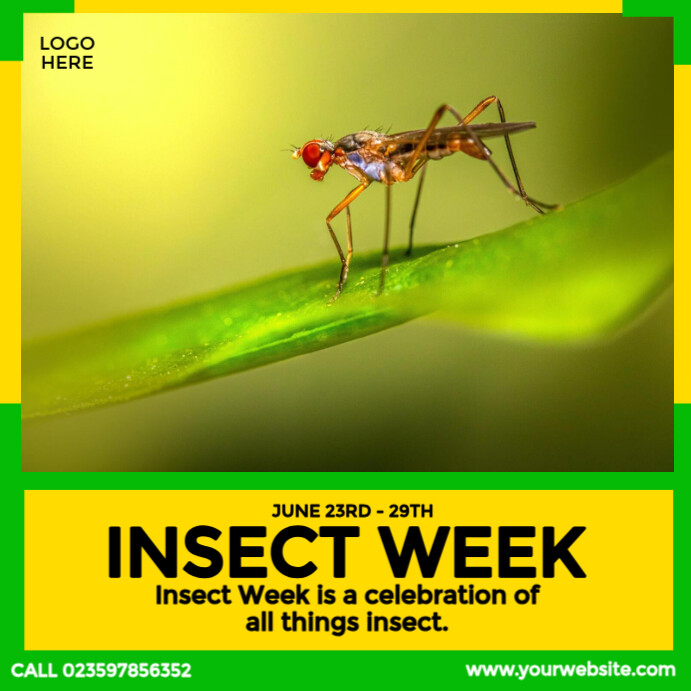 Insect Week Template | PosterMyWall