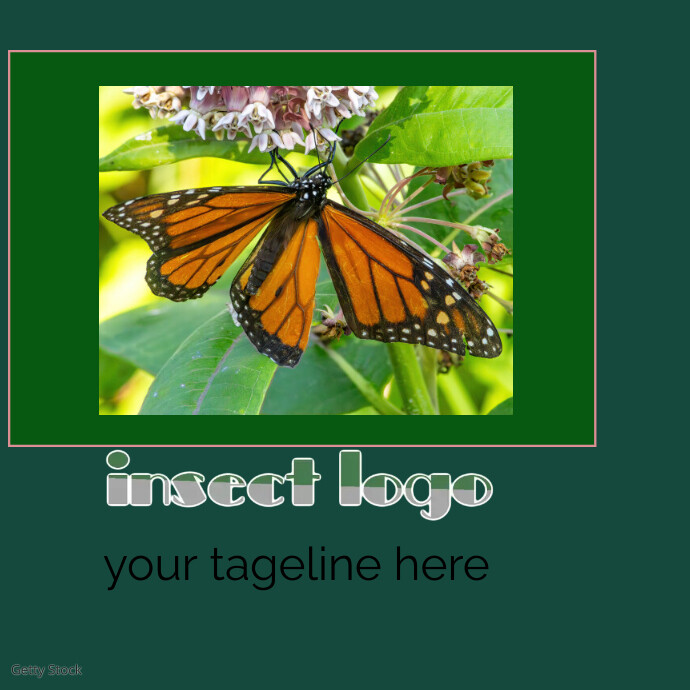 Picture Insect Logo insects logo Template | PosterMyWall