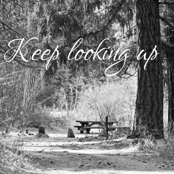 Copy of Inspirational | PosterMyWall