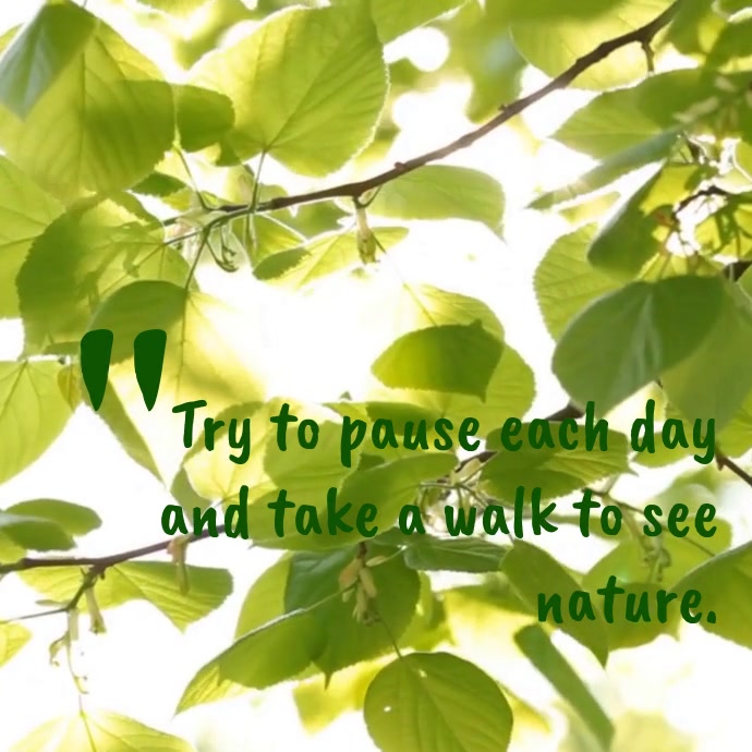 Modele Citation Nature Inspirante Postermywall