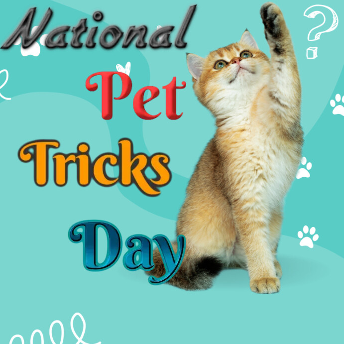 Instagram national pet trick day post 2023 Template PosterMyWall