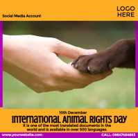 Orange International Animal Rights Day Wpis na Instagrama Template