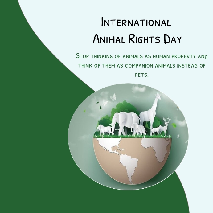 Copy of international animal rights day | PosterMyWall
