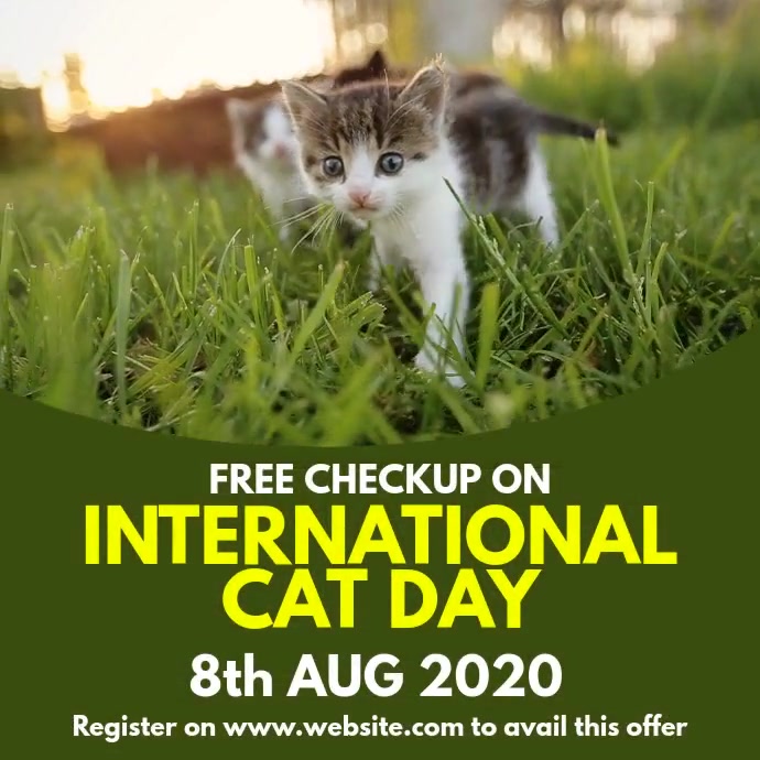 International cat Day สี่เหลี่ยมจัตุรัส (1:1) template