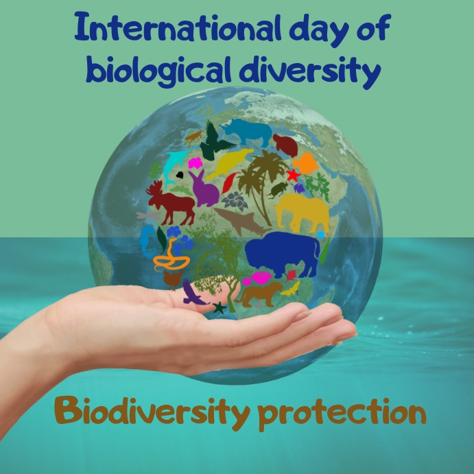 international day of biodiversity Publicação no Instagram template