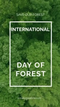 International Day of Forest Digitalt display (9:16) template