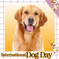international dog day Instagram Post template