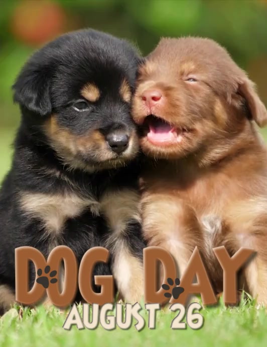 INTERNATIONAL DOG DAY VIDEO FLYER Folheto (US Letter) template