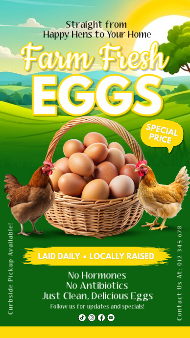 International egg day, healthy food, fresh eggs Instagram 快拍 template