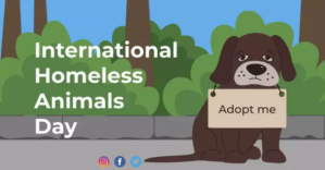International homeless animal day Facebook begivenhed cover template