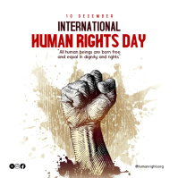 international human rights day templates Square (1:1)