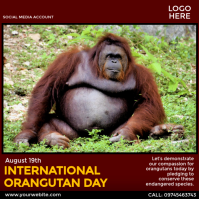 Red International Orangutan Day Publicação no Instagram Template